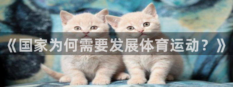 u球体育UFC：《国家为何需要发展体育运动？》