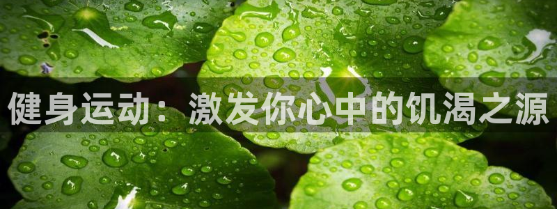 u球体育app官方下载：健身运动：激发你心中的饥渴之源